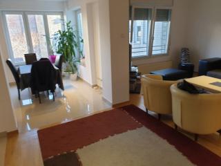 ea_1_600x450_683928728