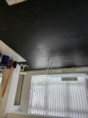 ea_20241009_090622_800x600