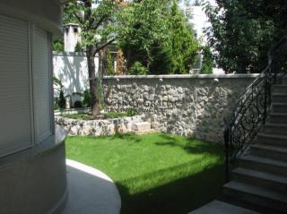 ea_IMG_1323_resize_JPG