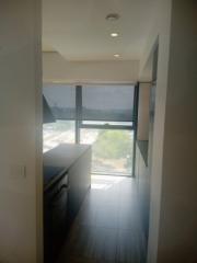 ea_IMG_20240424_113157_450x600