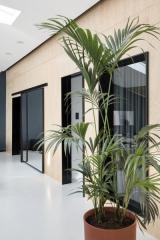 ea_IMG_35a23e3b17b12e21a7a78445f4380fc5_V_400x600