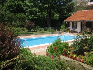 ea_IMG_3600_resize_JPG