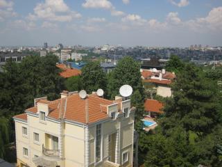 ea_IMG_3622_resize_JPG