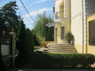 ea_IMG_3774_resize_JPG