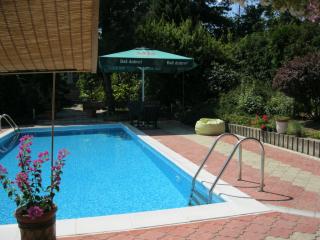 ea_IMG_4277_resize_JPG