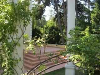 ea_IMG_4292_resize_JPG